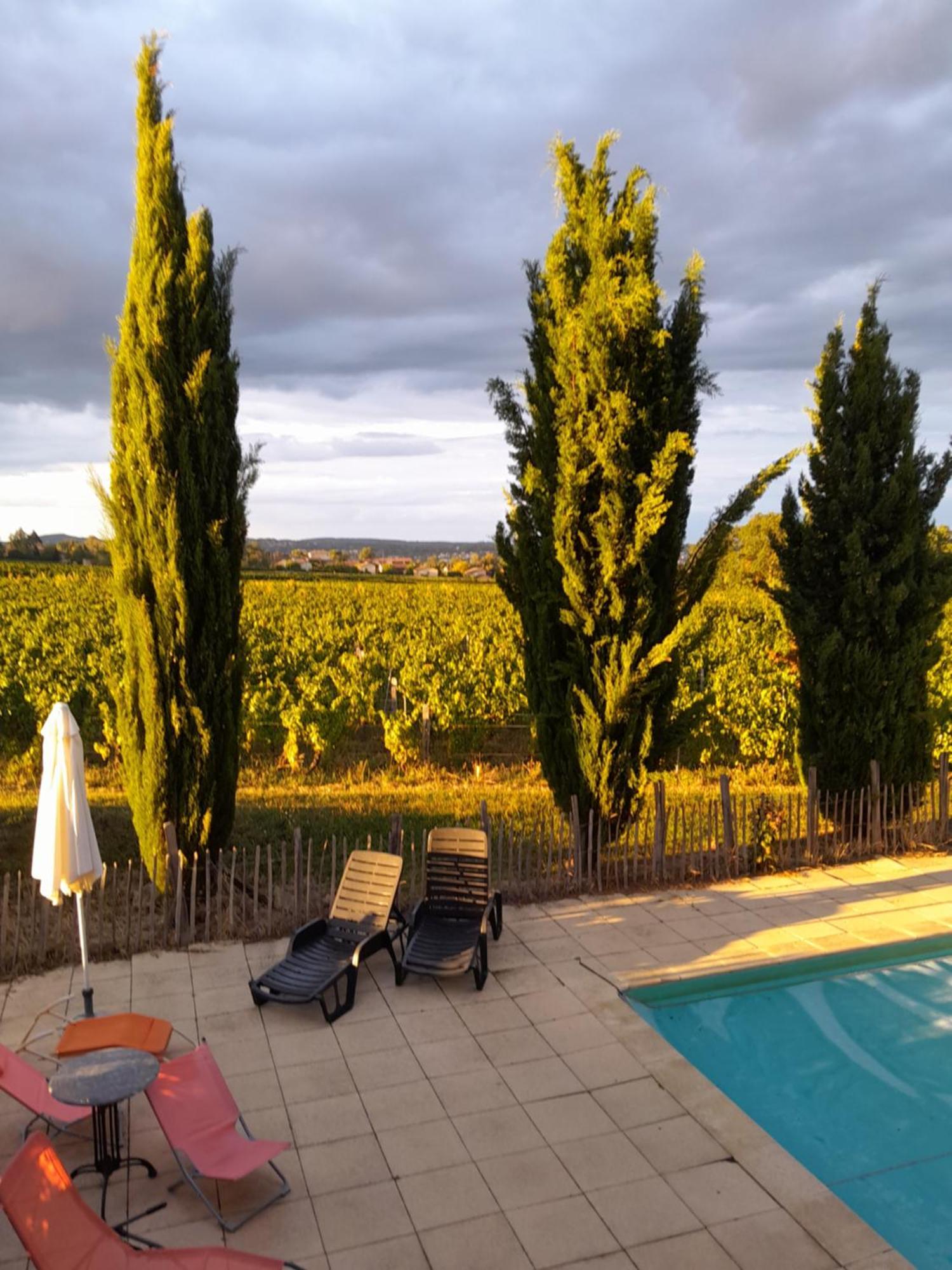 Vinzelles La Cote Des Blancs - Domaine Viticole & Maison D'Hotes מראה חיצוני תמונה